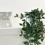 Castelfidardo - Affitti Brevi Italia شقة *
