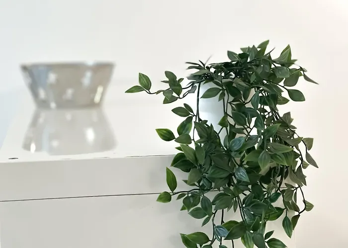 Castelfidardo - Affitti Brevi Italia Appartement *